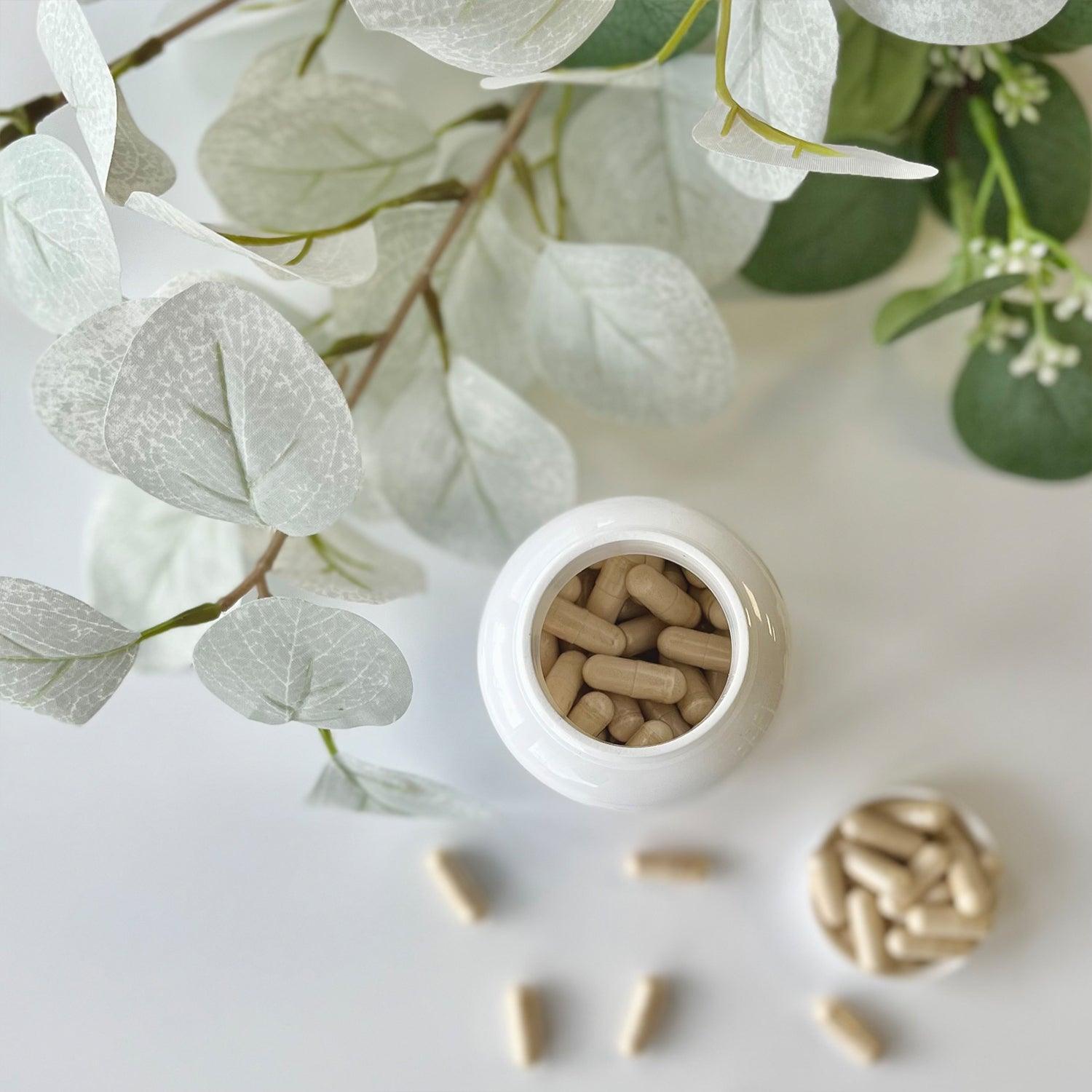 Chitosan 500 mg - cholestérolémie normale - NutriLife Shop