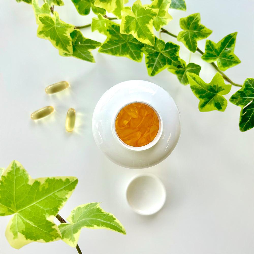 Oméga-3 EPA/DHA - NutriLife Shop