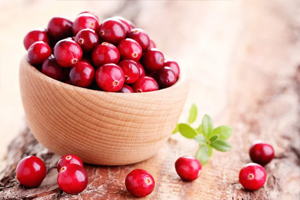 Canneberge : bienfaits, propriétés et études scientifiques