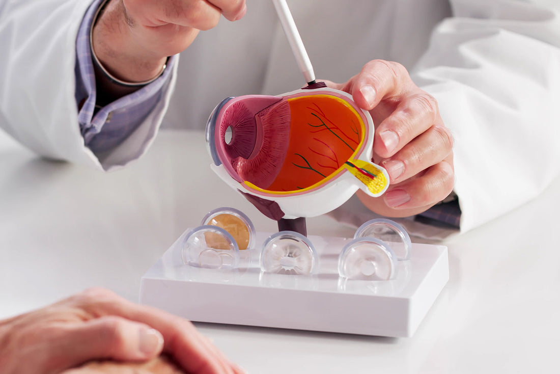 Tension oculaire et hypertension oculaire : comprendre pour mieux agir