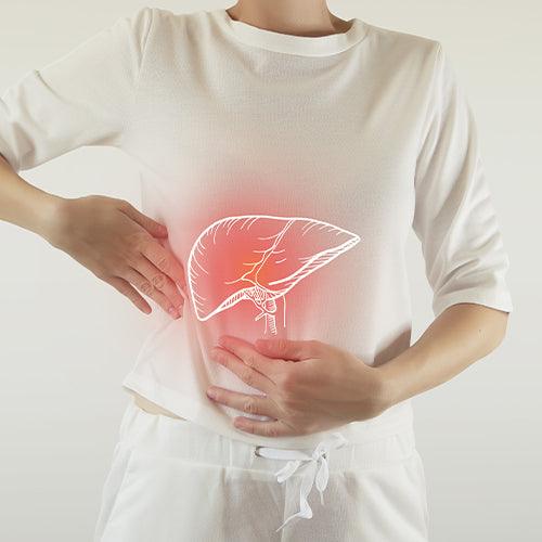 Complément alimentaire foie et pancreas - NutriLife Shop