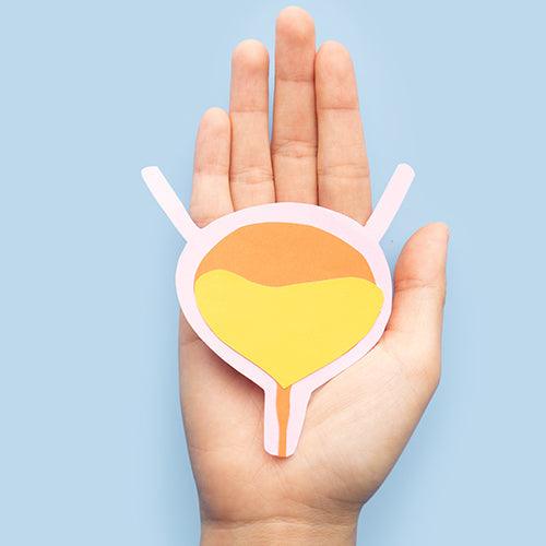 Complément alimentaire pour le confort urinaire - NutriLife Shop