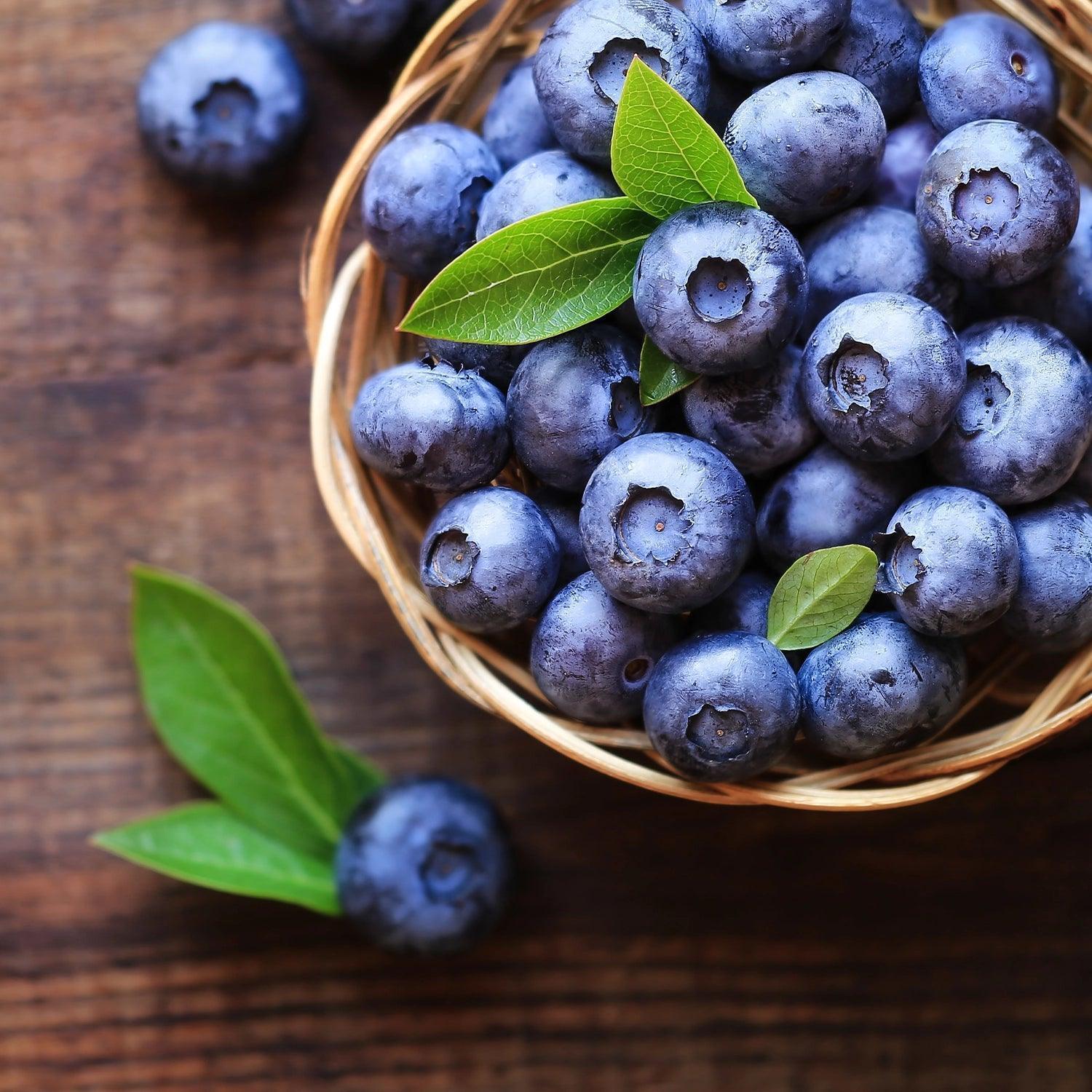 Extrait de myrtille - Bilberry Complex - santé des yeux