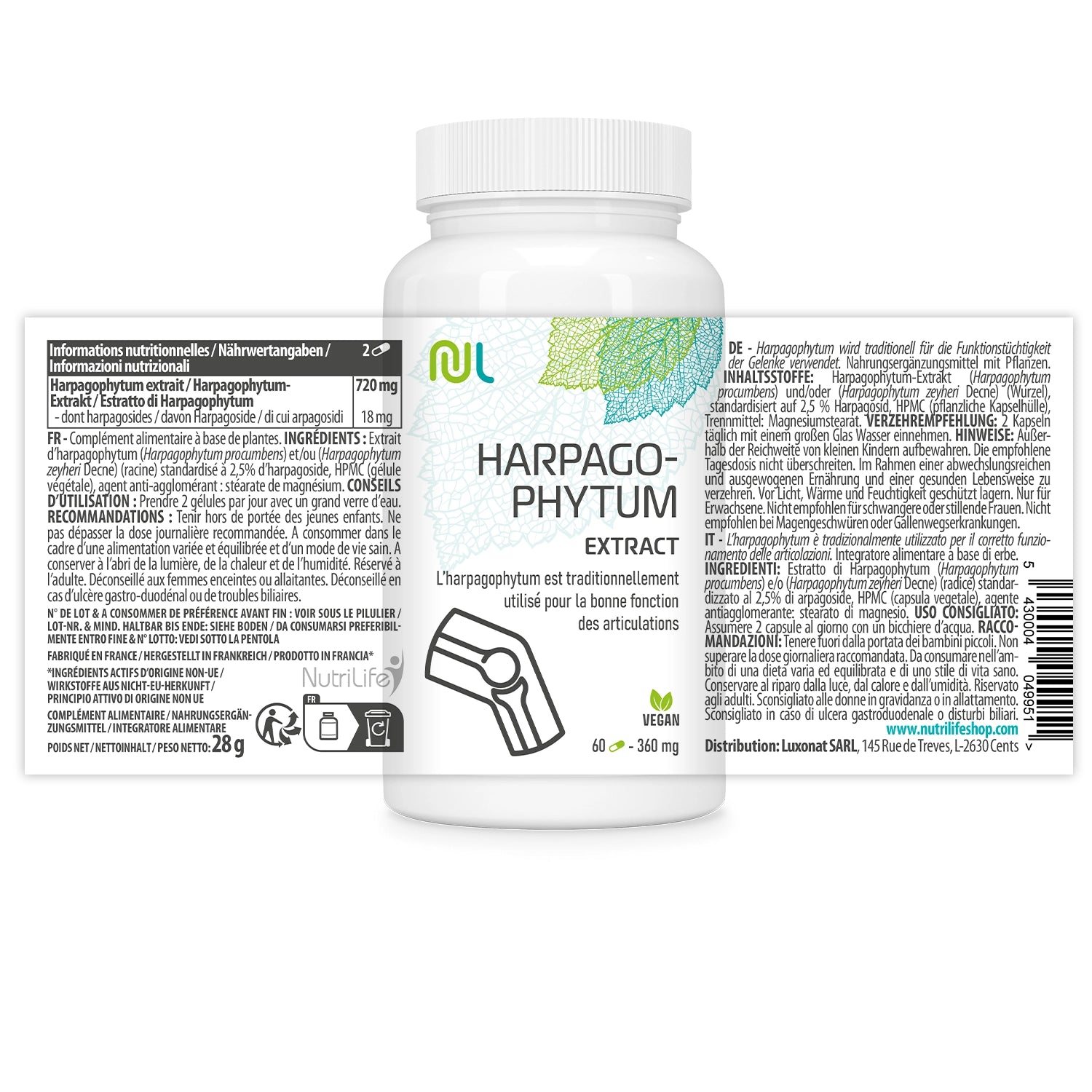 Teufelskralle - Harpagophytum