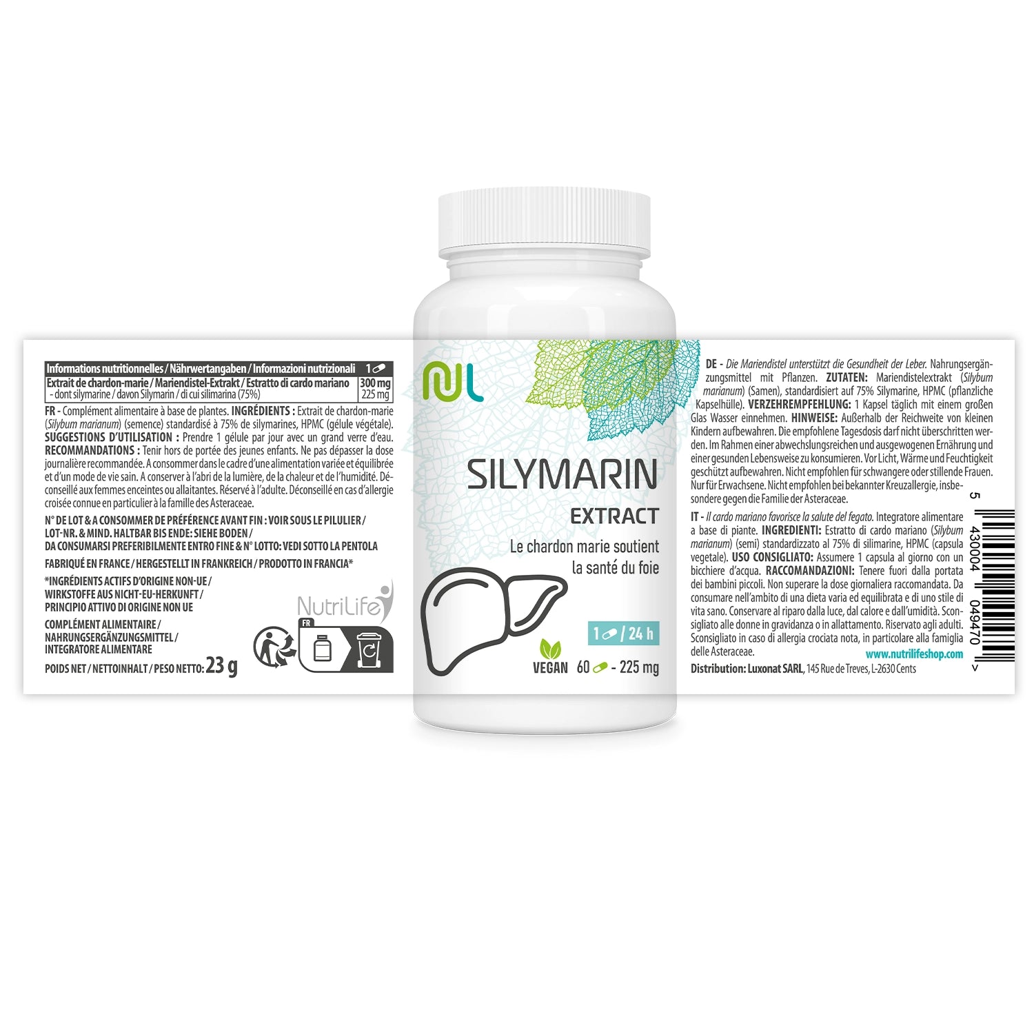 Mariendistel (Silymarin-Extrakt) – Leberschutz und Unterstützung der Verdauung